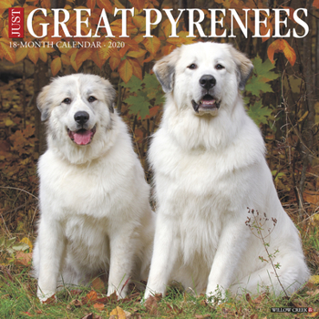 Calendar Just Great Pyrenees 2020 Wall Calendar (Dog Breed Calendar) Book