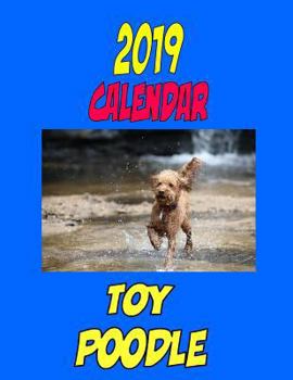 Paperback 2019 Calendar Toy Poodle: Dog Weekly Calendar, Personal Contacts List, Password Log, Notes and to Do List Book