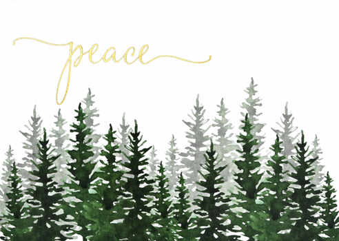 Misc. Winter Evergreens Deluxe Boxed Holiday Cards (20 Cards, 21 Self-Sealing Envelopes) [With Envelope] Book