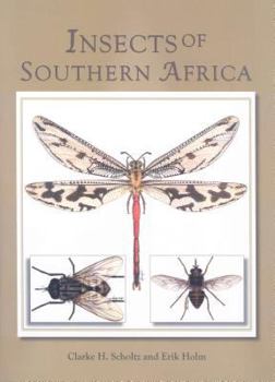 Hardcover Insects of Southern Africa Book