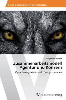 Paperback Zusammenarbeitsmodell Agentur Und Konzern [German] Book