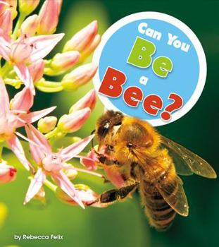 Can You Be a Bee? - Book  of the Hear Homophones Here