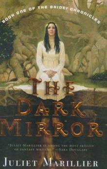 The Dark Mirror - Book #1 of the Bridei Chronicles
