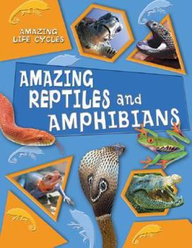 Library Binding Amazing Reptiles and Amphibians Book