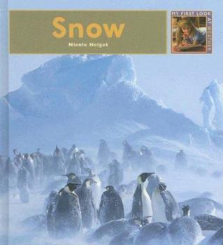 Library Binding Snow Book