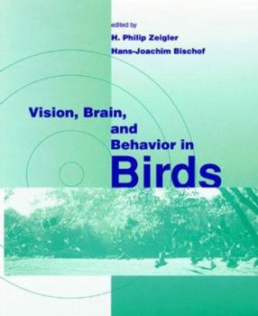 Hardcover Vision, Brain, and Behavior in Birds Book