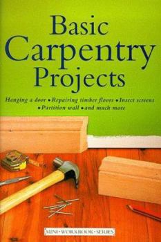 Paperback Mini Workbook Basic Carpentry Projects (DIY Mini Workbooks) Book