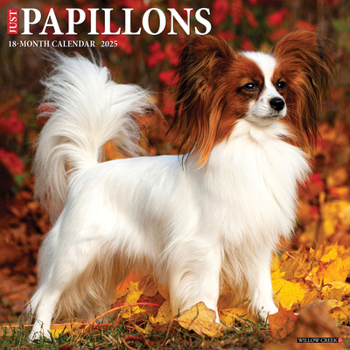 Calendar Just Papillons 2025 12 X 12 Wall Calendar Book