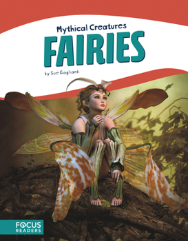 Library Binding Fairies Book