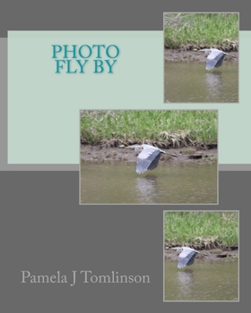 Paperback Photo Fly By Book