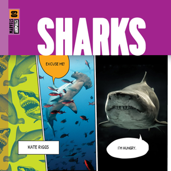 Library Binding Sharks Book