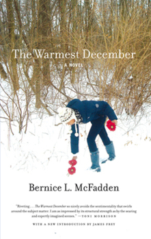 Paperback The Warmest December Book