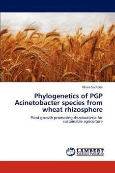 Paperback Phylogenetics of PGP Acinetobacter species from wheat rhizosphere Book