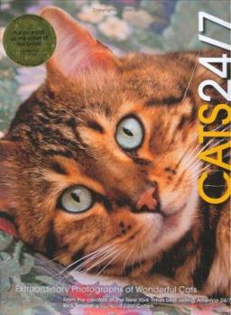 Cats 24/7: Extraordinary Photographs Of Wonderful Cats - Book  of the 24/7