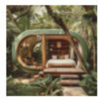 Paperback Tiny Home Futures Book