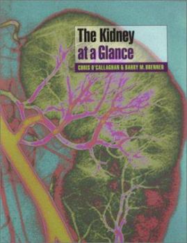 Paperback The Kidney at a Glance Book
