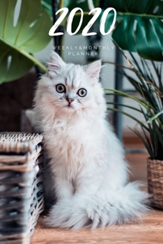 2020 Weekly & Monthly Planner: Cat - 6X9 Size - Glossy Soft Cover - Multi-Purpose: Organizer/Calendar/Notebook/Agenda/Diary/Journal.