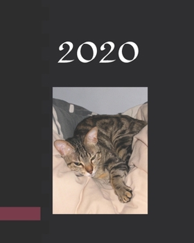 2020 Planner Weekly & Monthly: January 2020 to December 2020,Weekly & Monthly Spreads, Dot Grid Journal Pages, Yearly Views 2020 & 2021, Habit ... Ideas/ Planners and Personal Organizers)