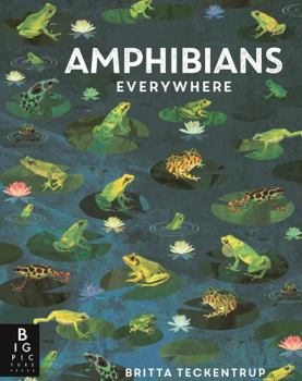 Amphibians Everywhere (Animals Everywhere) - Book  of the Animals Everywhere