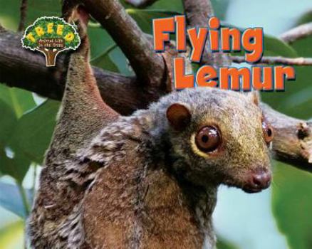 Library Binding Flying Lemur Book