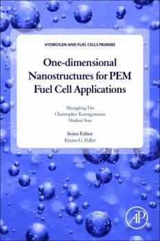 Paperback One-Dimensional Nanostructures for Pem Fuel Cell Applications Book