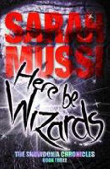 Paperback Here be Wizards Book