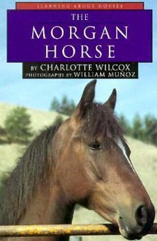 Hardcover The Morgan Horse Book
