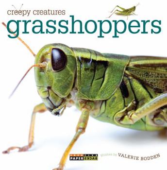 Grasshoppers (Creepy Creatures) - Book  of the Bugbooks
