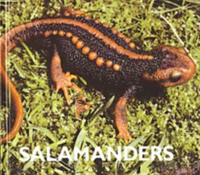 Library Binding Salamanders Book