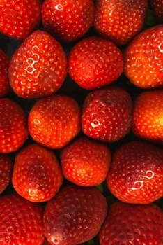 Paperback My Journal: Recipe Journal - 6"x9" - 120 Lined pages - Recipe Recording Notebook - Matte Cover Book