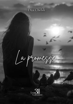 Paperback La promesse [French] Book
