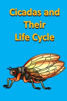 Cicadas and Their Life Cycle (Animals)