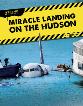 Paperback Miracle Landing on the Hudson Book