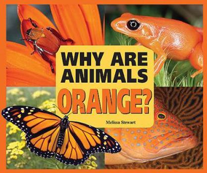 Why Are Animals Orange? - Book  of the Rainbow of Animals