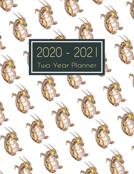 Paperback 2020-2021 Two Year Planner: Fire Dragon Two Year Planner, Two Year Calendar 2020-2021, Daily Monthly Planner 2020 Size 8.5 x 11 Inch, Business Pla Book