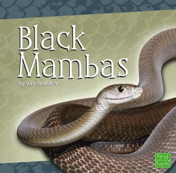 Hardcover Black Mambas Book