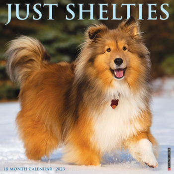 Calendar Just Shelties 2023 Wall Calendar Book