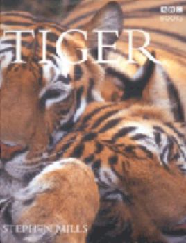 Hardcover Tiger Book