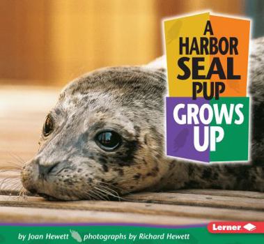 Paperback A Harbor Seal Pup Grows Up Book