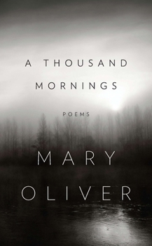 Hardcover A Thousand Mornings Book