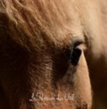 Hardcover - La Passion du Val - Book