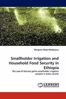 Paperback Smallholder Irrigation and Household Food Security in Ethiopia Book