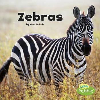 Hardcover Zebras Book