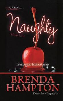 Naughty - Book #1 of the Naughty