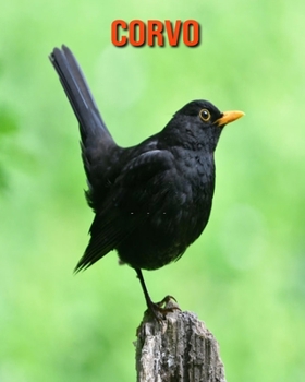 Paperback Corvo: Immagini bellissime e fatti interessanti Libro per bambini sui Corvo [Italian] Book