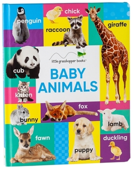 Board book Baby Animals (Large Padded Board Book) Book