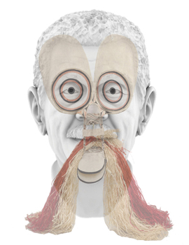 Hardcover Tavares Strachan: In Plain Sight Book