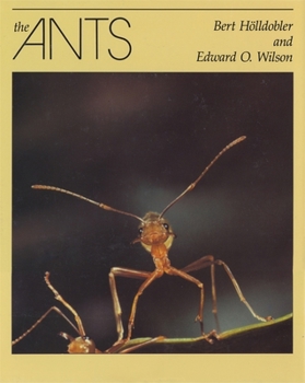 Hardcover The Ants Book