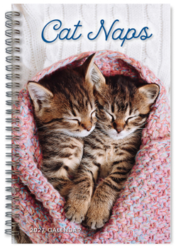 Home Cat Naps Book