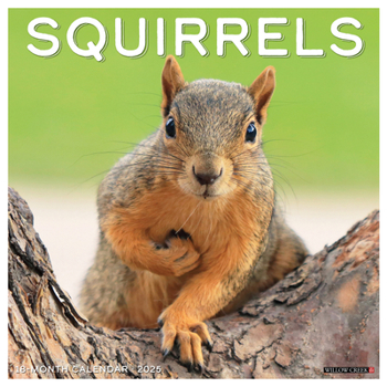 Calendar Squirrels 2025 12 X 12 Wall Calendar Book